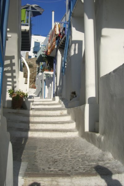 cimg7239.jpg