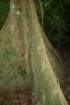 cimg6588_small.jpg