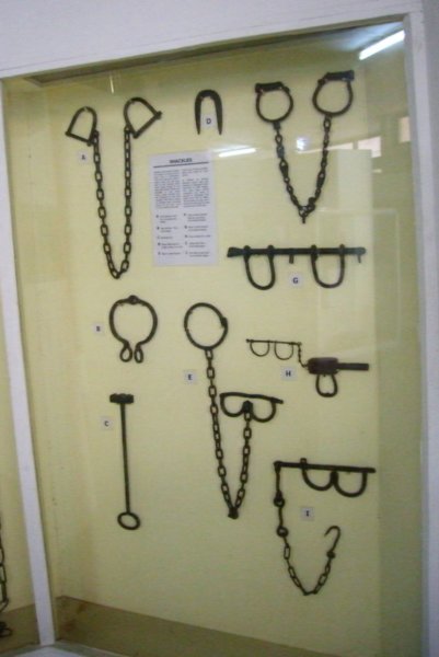 cimg6729.jpg